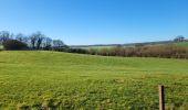Trail Walking Florennes - Morialme - Photo 12