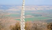 Trail On foot Galil Elyon Regional Council - IL-2060 - Photo 6