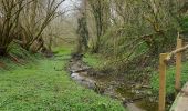 Trail Walking Modave - Pont-de-Bonne - Photo 3