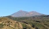 Tocht Te voet Santiago del Teide - SL-TF 60 Ruta del Almendro en Flor - Photo 4