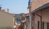 Tour Wandern Port-Vendres - port vendres . l ouille / retour  - Photo 8