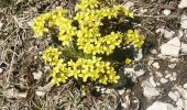 Tocht Stappen Val-Maravel - Le Luzet - Montagne Chauvet (Val-Maravel en Diois)... - Photo 2