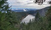 Trail Walking Orbey - Tour du Lac Blanc par le tour du Lac Noir - Photo 6