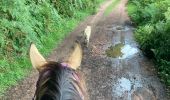 Trail Horseback riding Montsauche-les-Settons - Tracé cimetière militaire stèle  - Photo 2