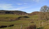 Percorso 4x4 Peyre en Aubrac - autour de Ste Colombe et Aumont-Aubrac - Photo 3