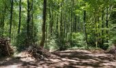 Tour Wandern Brassac - Brassac - Sur les hauteurs de l'Agout - Col de la cime du Ser - Photo 6