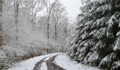 Randonnée Marche Gerpinnes - La Promenade de Loverval - Photo 8