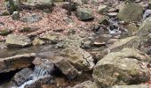 Randonnée Marche Spa - Source de la geronster  - Photo 1