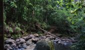 Tocht Stappen Sainte-Rose - Le Saut des Trois Cornes - Photo 2