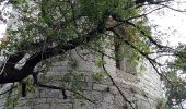 Tour Zu Fuß Thübein Nabreschin - Učna pot Nabrežina / Percorso didattico Aurisina - Photo 1