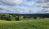 Tocht Stappen Houffalize - rando engreux 14-09-2024 - Photo 3