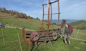 Tocht Stappen Breitenbach-Haut-Rhin - auberge Lameysberg  - Photo 3