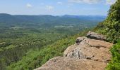 Trail Walking Sainte-Anastasie-sur-Issole - Saint Quinis - Ste Anastasie - Photo 18