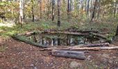 Excursión Senderismo Vendôme - Promenade dans la forêt de Vendôme  - Photo 2