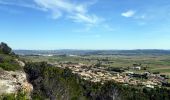 Trail Walking Conilhac-Corbières - CONILHAC - lausines - Photo 14