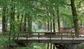 Trail On foot Baarn - Groene Wissel: Den Dolder - Photo 1