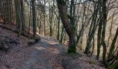 Trail Walking Houffalize - Engreux - Confluent des deux Ourthes var. - Photo 2