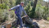 Randonnée Marche La Celle - Le dolmen de l'Amarron - Photo 3