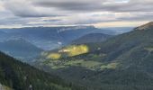 Trail Trail Sarcenas - col de porte chamechaude - Photo 8