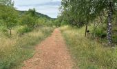 Tour Wandern Esch an der Alzette - Terres Rouges Esch Ellergron 18 km - Photo 4