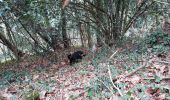 Percorso Marcia Livron - tour au bois avec 3 chats 10042021 - Photo 4