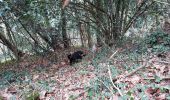 Tocht Stappen Livron - tour au bois avec 3 chats 10042021 - Photo 4