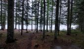 Randonnée Marche La Chaise-Dieu - Bois de Breuil - Photo 20