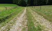 Tour Zu Fuß Tenneville - 3. Promenade du Bronze - Photo 7