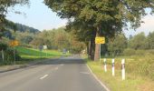 Tour Zu Fuß Overath - Steinenbrück Rundweg A2 - Photo 5