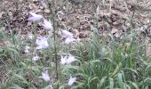 Randonnée Marche La Haye-le-Comte - La Haye-le-Comte par la forêt du Becdal - Photo 5