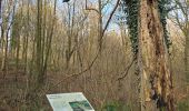 Trail Walking Ham-sur-Heure-Nalinnes - GR 129 Noirchien - N-D Loverval  - Photo 14