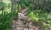 Trail Walking Moustiers-Sainte-Marie - Venascle La Palud sur Verdon - Photo 5