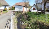 Excursión A pie Steinau an der Straße - Steinau a. d. Straße, Wanderweg 8 - Photo 1