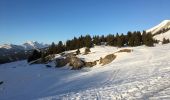 Tour Schneeschuhwandern La Clusaz - L’étale  - Photo 1