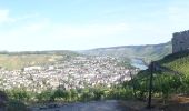 Tocht Te voet Bernkastel-Kues - Burg-Olymp-Tour - Photo 1