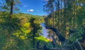 Randonnée Marche Bouillon - Balade au fil du ruisseau des Aleines - Les Hayons - Photo 5