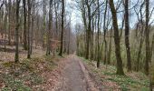 Trail Walking Ciney - Chapois 150425 - Photo 15