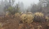 Tour Wandern Vilaflor - Vilaflor - Paisaje lunar - Photo 1