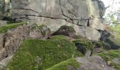 Excursión Senderismo Eguisheim - Rando des cinq châteaux  - Photo 13