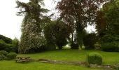 Excursión A pie Tongeren - Rond de bronnen van de Mombeek - Photo 8