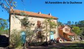 Tour Wandern Fréjus - Mont Vinaigre depuis Colle Douce - Photo 5