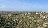 Tocht Stappen Cavaillon - PF-Cavaillon - La Colline Saint Jacques - Photo 1