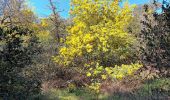 Trail Walking Roquebrune-sur-Argens - Rocher de Roquebrune sur Argens-23-02-22 - Photo 6