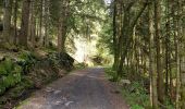 Trail Walking La Bresse - Montagne Lama - La Bresse  - Photo 6