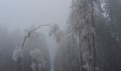 Trail Walking Theux - dans le givre de Crambon  - Photo 7