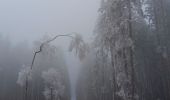 Randonnée Marche Theux - dans le givre de Crambon  - Photo 7