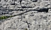 Tour Wandern Caussols - Caussol le 15/05 - Photo 11
