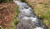 Tour Zu Fuß Hellenthal - Eisvogelpfad - Photo 7