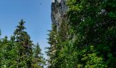 Tour Wandern Saint-Agnan-en-Vercors - Les Rancs de Charles - Vercors - La Coche - Photo 17