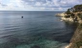 Trail Walking Hyères - Sentier du littoral de Giens - Photo 11